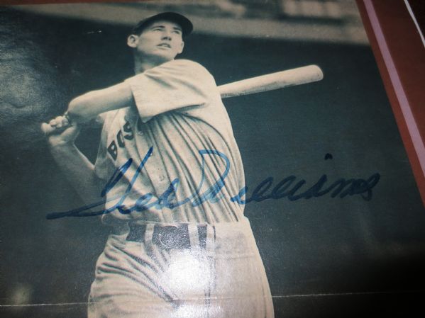 Ted Williams Autograped Page 15 x 11 with Letter of Authenticity Jimmy Spence