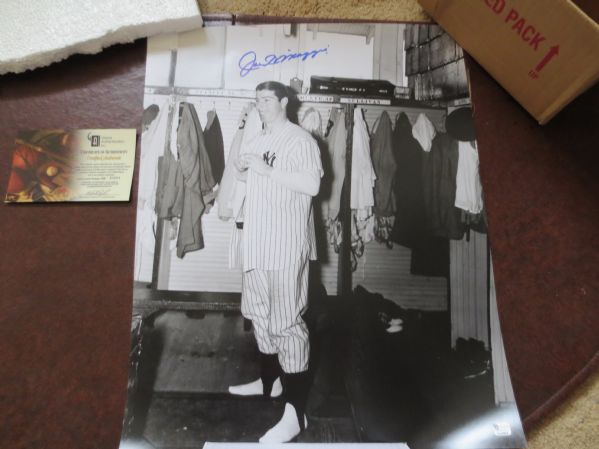 Joe DiMaggio Autographed Large Unusual Photo 20 x 16  GAI Cert.