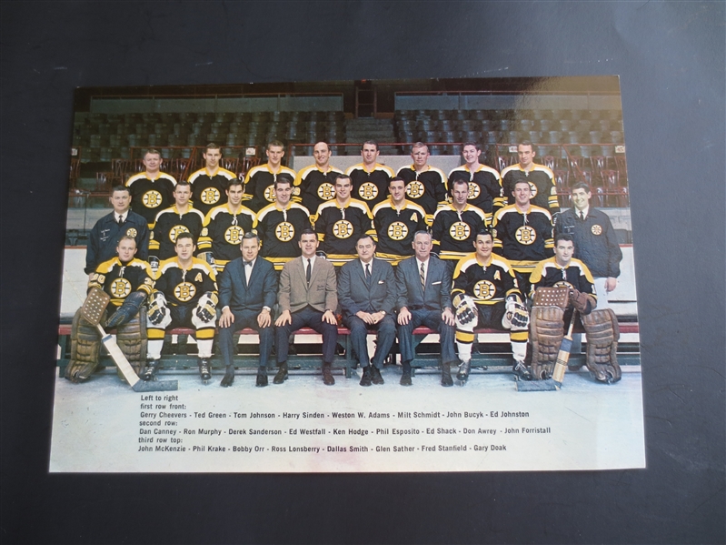 1966 Boston Bruins Stadium Issue Team Photo with Bobby Orr Rookie Year  7 x 10